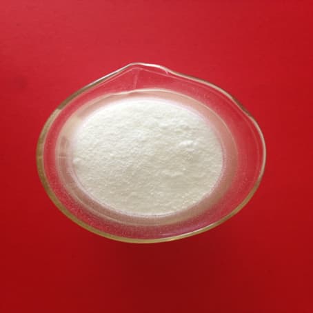 florfenicol sodium succinate